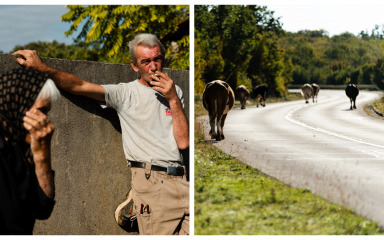 MISTO MOJE (2) Kad sam se vratila u Bilišane čuvala sam sto ovaca, a sad je sve zaraslo…