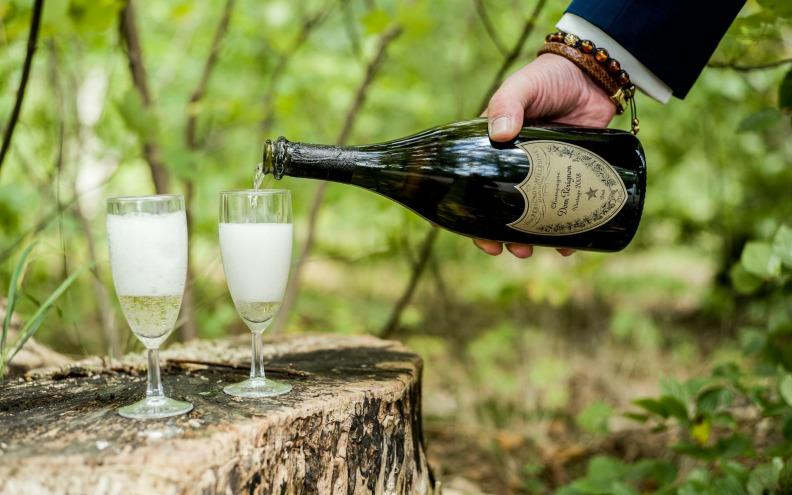 Pokrajina Champagne izgubila gotovo pola uroda grožđa