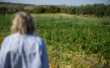 Mladi poljoprivrednici moraju dostaviti dokaze o udovoljavanju uvjetima po pitanju obrazovanja