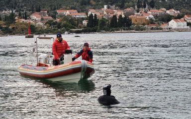 Pronađeno tijelo muškarca za kojim se tragalo u Malostonskom zaljevu