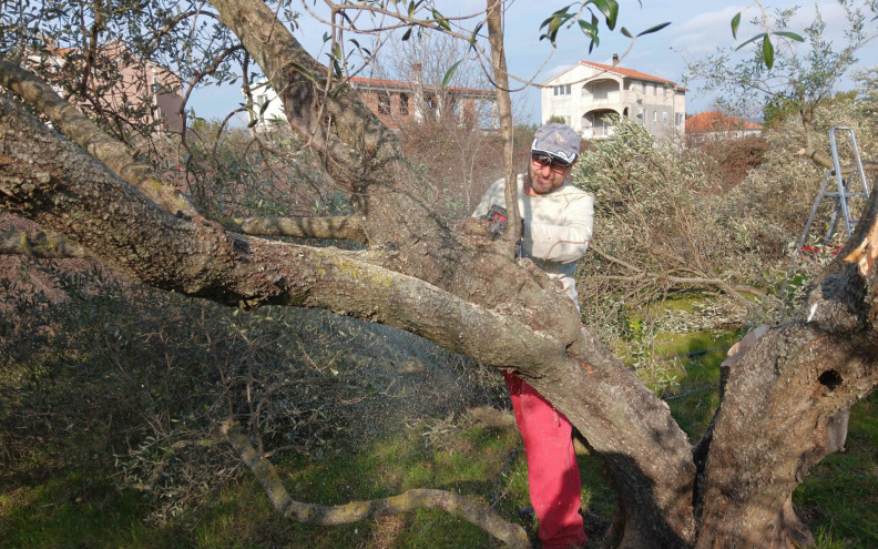 Trebaju samo lake i dobre škare, volja i znanje