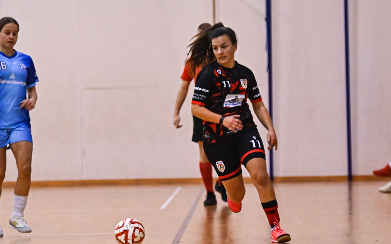 Chicksice proletjele kroz Vidovec