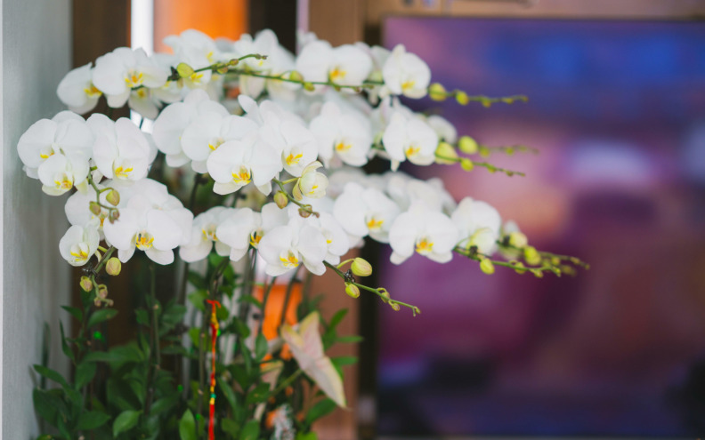 Ovi detalji u vrtu prilagođeni su divljim životinjama