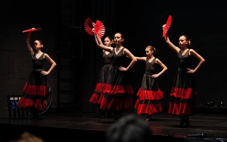 FESTIVAL KREATIVNOSTI LiDraNo okupio sudionike iz 13 županijskih srednjih škola