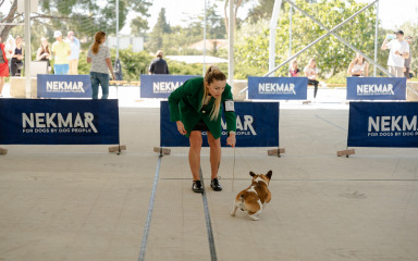 FOTO Stotine vlasnika pasa okupilo se za Praznik rada u Holiday Resortu u Zatonu