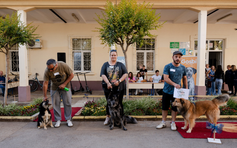 REVIJA PASA Održana sedma amaterska povorka četveronožnih mješanaca