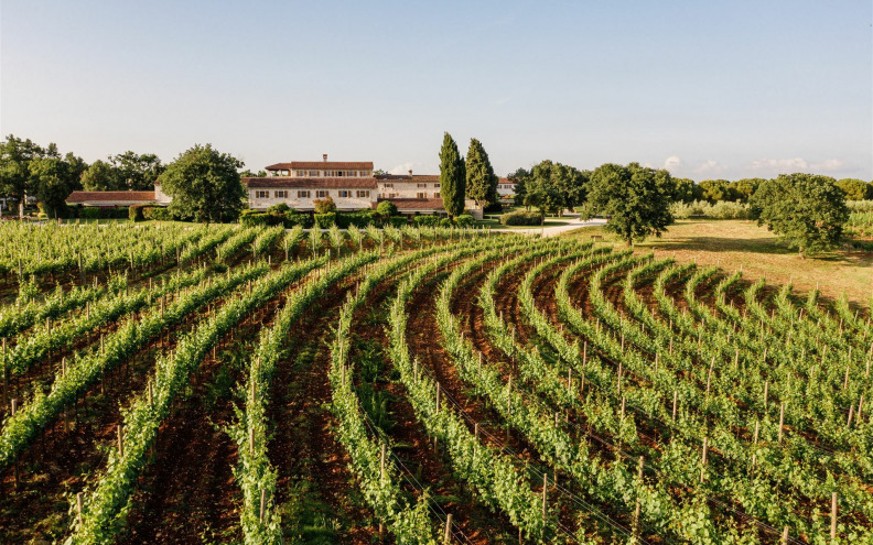 Vinarija u kojoj je povijest pretočena u svaku čašu