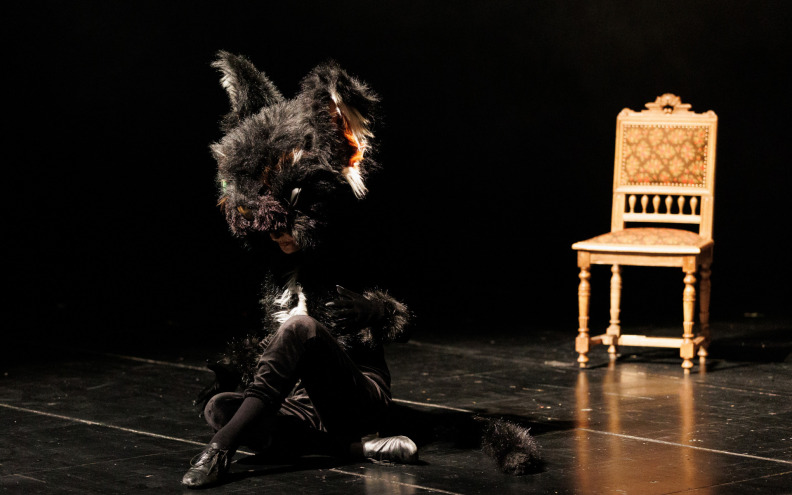 Crni mačak Edgara Allana Poea širi granice lutkarstva