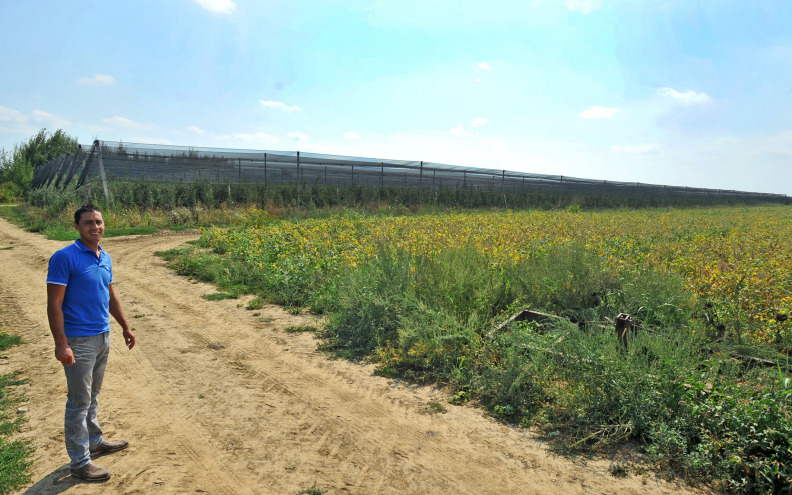 U lipnju samo litra kiše: Trpe polja, a povrću ne pomaže ni navodnjavanje