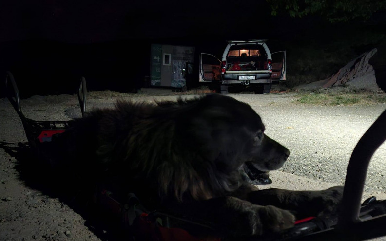 Zadarski HGSS spasio psa! 'Želimo mu brz oporavak i da što prije pronađe svoj topli dom'