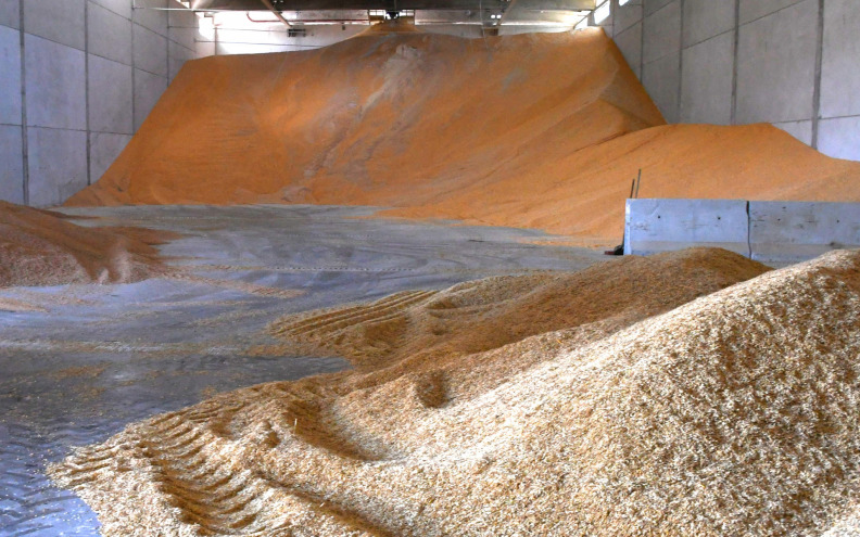 Žetva pred vratima, očekuje se oko 350  tisuća tona ječma