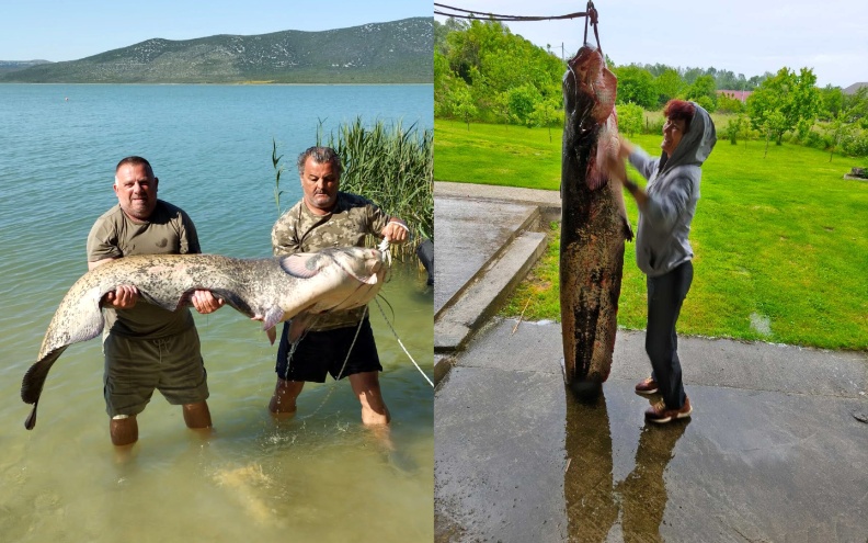 Mario Župan na Vranskom jezeru izvukao ribu od čak 84,5 kilograma!