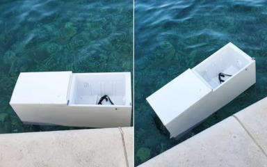 Zadrani šokirani prizorom kod rive: “Ovo još nisam vidjela”