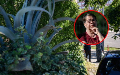 Cvijet agave zamirisat će na 30 godina uspomena: “S mojom obitelji prošla je mijene, smrti i rođenja”