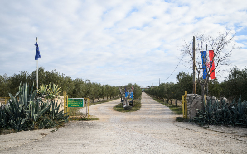 Objavljen Plan financijskog i operativnog restrukturiranja zadruge Maslina i vino