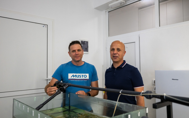 Profesori zadarskog Sveučilišta: ’More postaje sve toplije, a dagnje sve ugroženije’