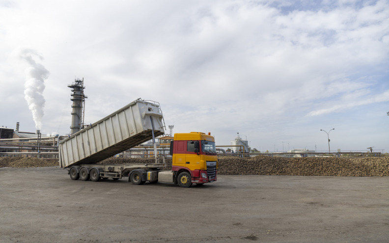 Domaća proizvodnja  mesa i šećera ugrožena  uvozom iz Južne Amerike