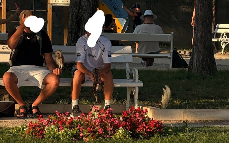 Sova i zmija prijavljene su inspektoratu: 'Ne samo da to stvara lošu sliku o Zadru...'