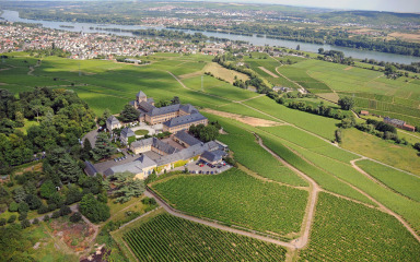 Johannisberg vina ne slijede modu i trendove već ih sami stvaraju