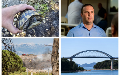 PET VIJESTI DANA Radović ogorčen ograničenjem isporuke vode, vatrogasci u Smilčiću spasili – kornjaču