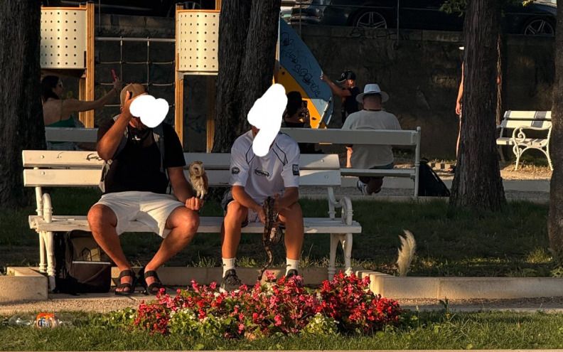 Na rivi se u turističke svrhe ponovno iskorištavaju životinje. Zašto nitko ne reagira?