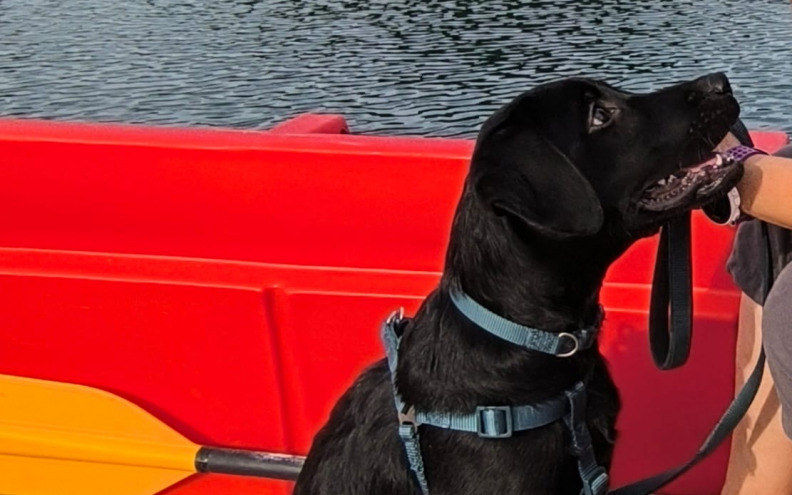 HGSS-ovci iz Zadra imaju novog člana tima, presladak je!