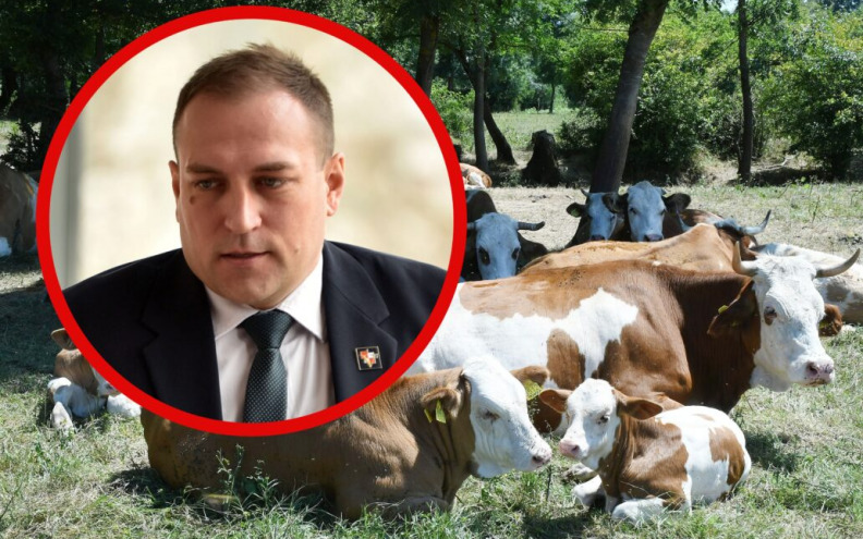 Kreće cijepljenje protiv bedrenice, utvrdit će se bedrenički distrikt