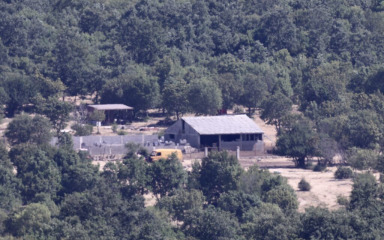 Vlajčić: Nema novih potvrđenih slučajeva na bedrenicu