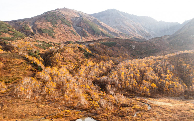 Srušio se avion koji je nestao na istoku Rusije