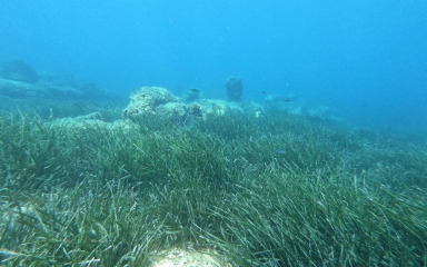 Hrvatska peta na Mediteranu po ugroženosti morskih livada