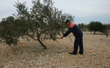 Kad mokraća postane resurs, a ne tek otpad
