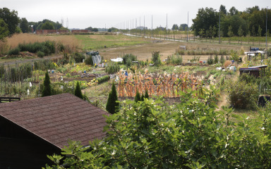 Ulože novac, trud i ljubav, a drugi poberu plodove njihova rada