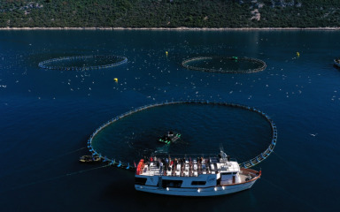 U Zadarskoj županiji očekuje se dosad najuspješnija poslovna godina