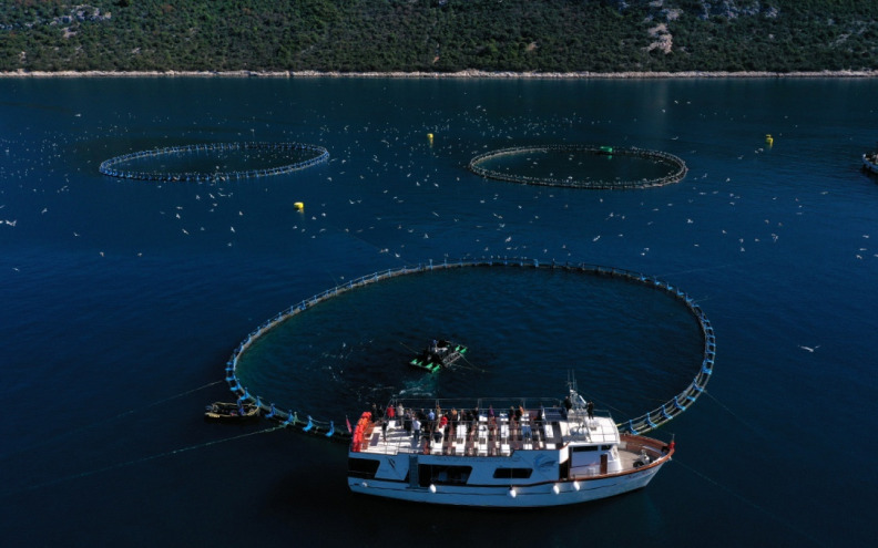 U Zadarskoj županiji očekuje se dosad najuspješnija poslovna godina