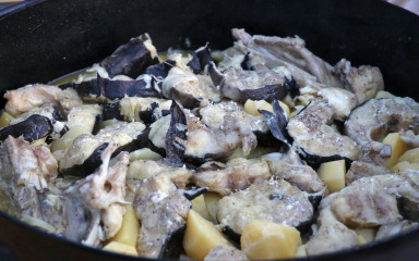 Od folklora do Dalmatina: Pogledajte što donosi Tunuara 2025.