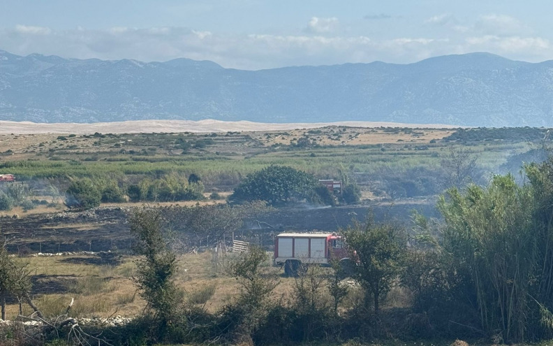 Ugašen požar u Kolanu, zahvatio i ornitološki rezervat
