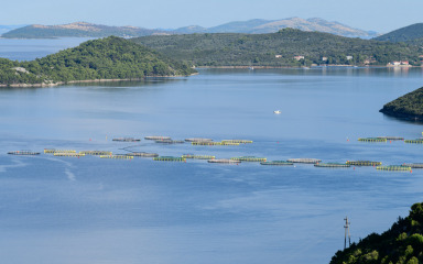 Županija dodjeljuje potpore poduzetnicima u marikulturi