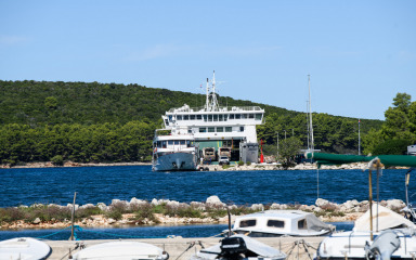 Direktor Mulića i dalje  smije – prodavati ribu