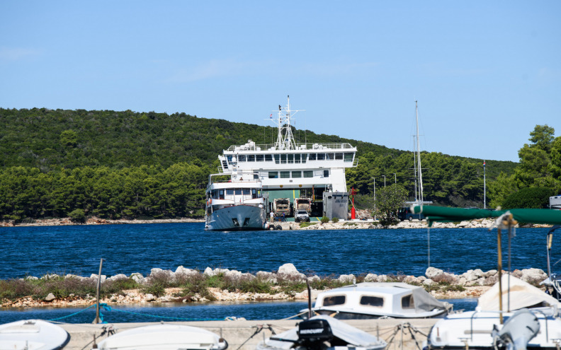 Direktor Mulića i dalje  smije - prodavati ribu