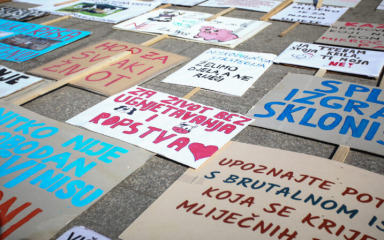 Silovanje životinja mora postati kazneno djelo