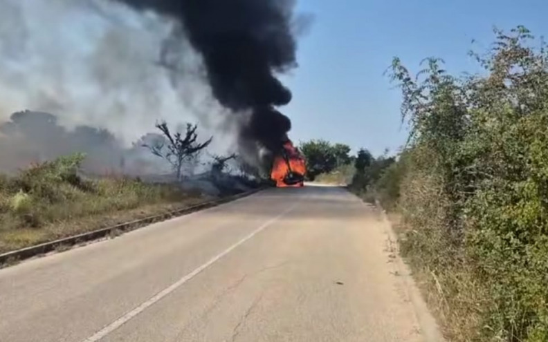 VIDEO Zapalio se kamion u Visočanima, požar se proširio na okolno raslinje