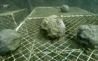 Puls mora – Baci kuglu za Novigradsko more