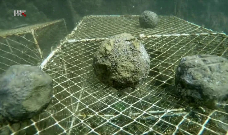 Puls mora – Baci kuglu za Novigradsko more