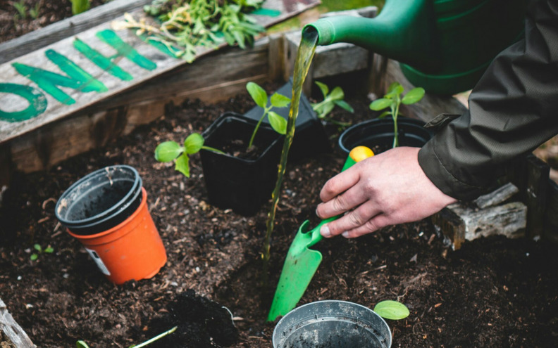 Ovi TikTok trikovi za vrtlarstvo zaista djeluju