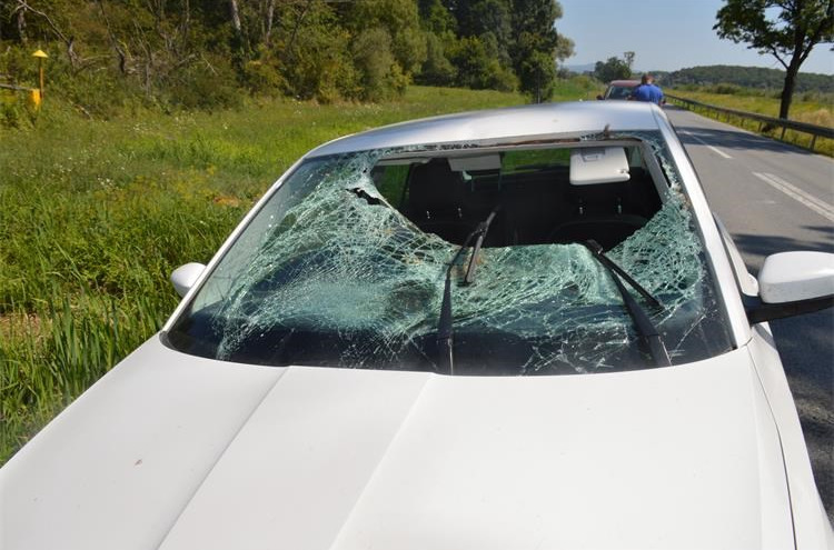 Nesvakidašnja nesreća! Srndać iz putnog jarka skočio na prednje vjetrobransko staklo, upao u auto