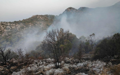 Gotov očevid požara otvorenog prostora u Bobovišćima