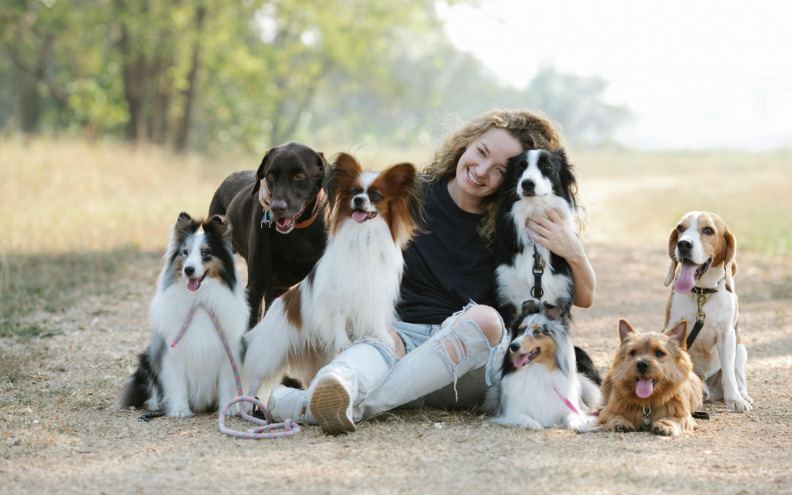 Ovih 11 pasmina pasa su najbolja za međunarodna putovanja