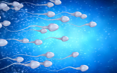 Stručnjaci upozoravaju na alarmantni pad broja spermija kod muškaraca