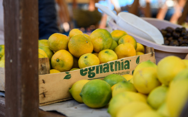 Suzbijanje voćne muhe obavezno je uoči berbe