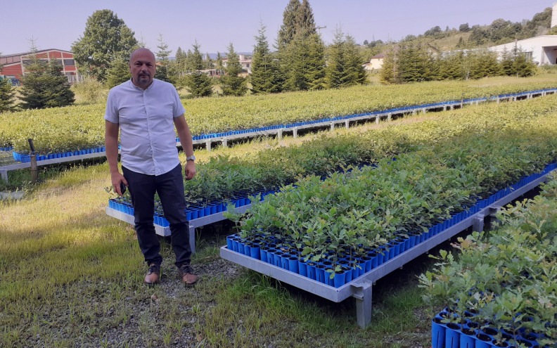 U planu otkup gotovo 93 tisuće kilograma žira hrasta lužnjaka